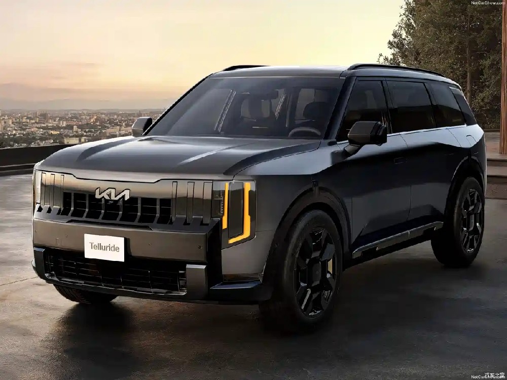 The all-new Kia Telluride has a bold styling and official im···